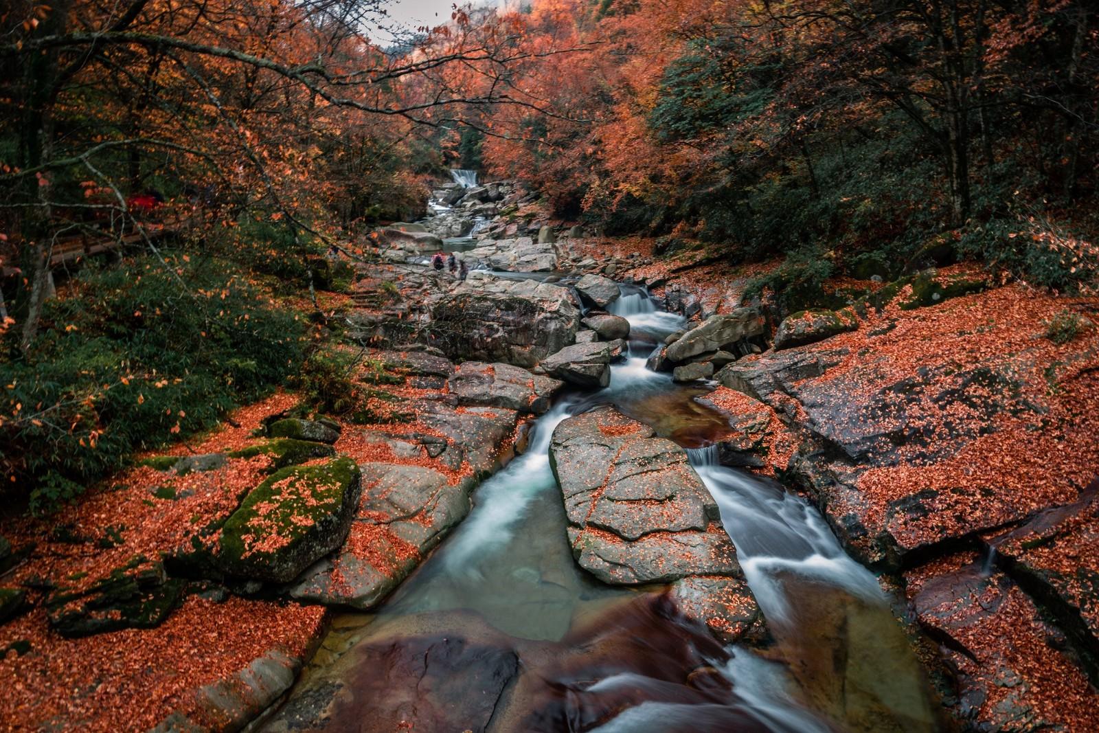 光雾山壁纸图片