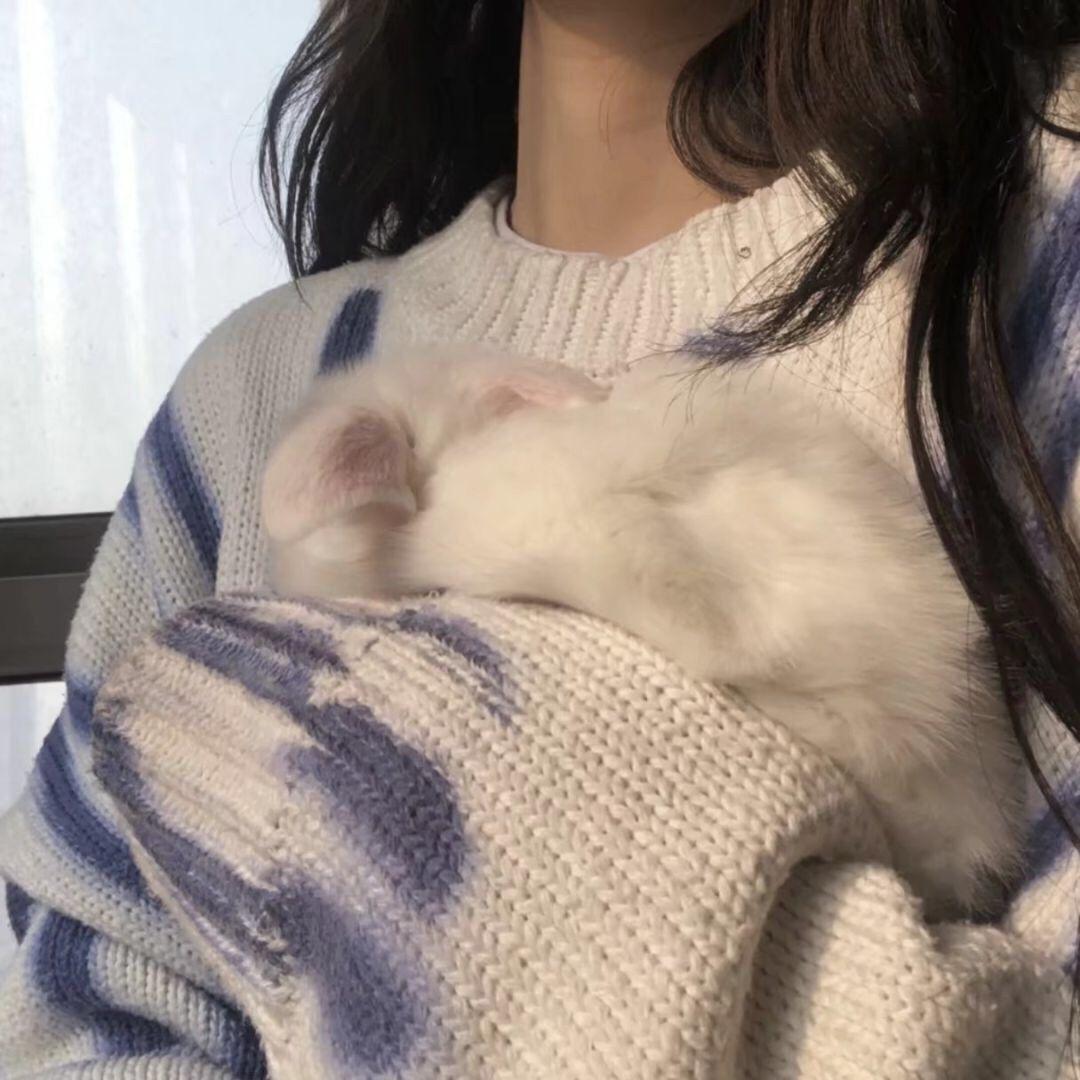 有没有类似的抱猫的头像