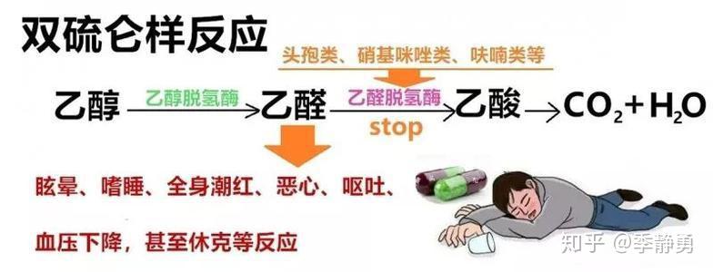 65酒神之悲话说双硫仑样反应