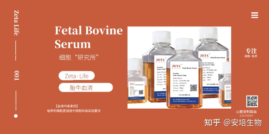 zeta life胎牛血清(法国血源),货号:z7186fbs-500,可适用于哪些细胞的