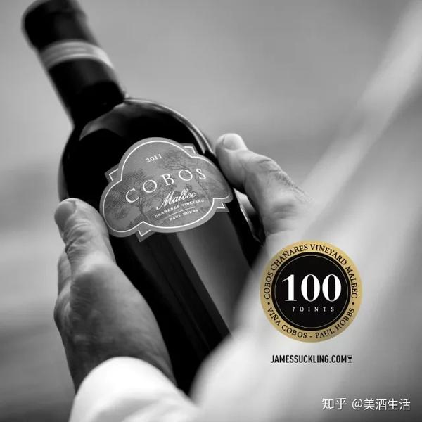 一瓶酒改写一个国家的历史 阿根廷的 奔富酒王 你必须知道 知乎