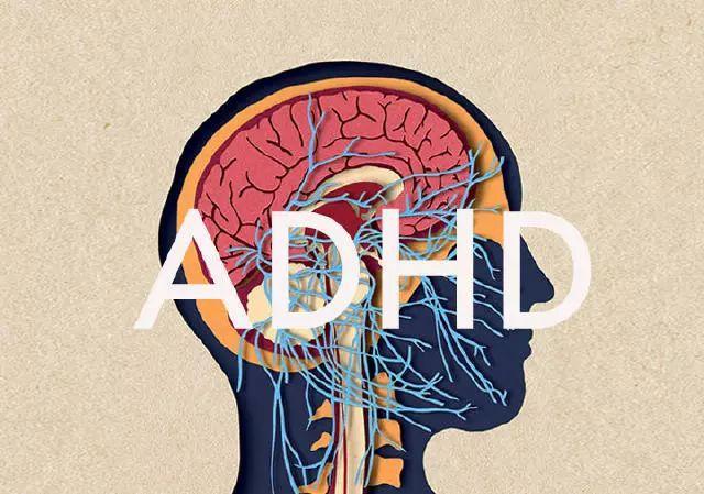 Adhd 与读写障碍 知乎