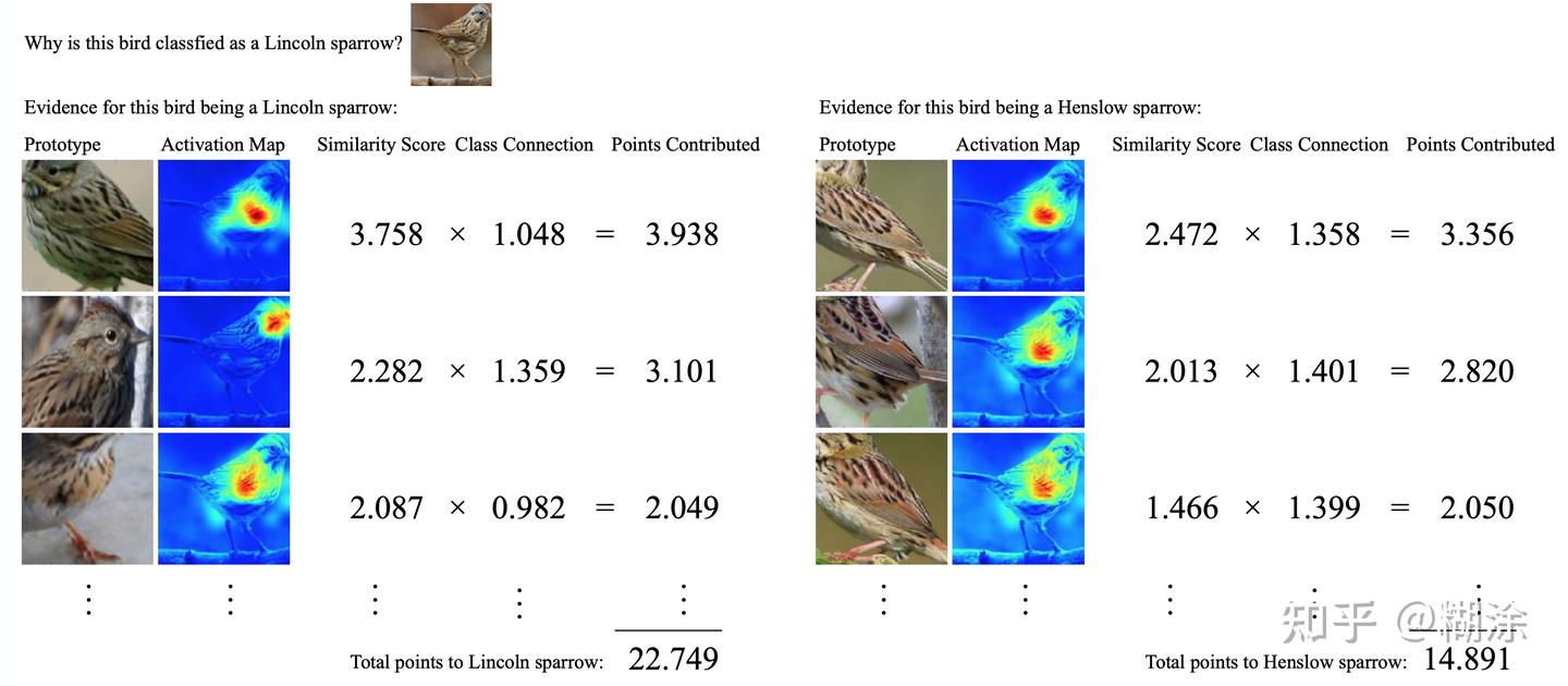 This Looks Like That: Deep Learning for Interpretable Image Recognition ...