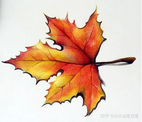 手绘涂鸦彩铅手绘枫叶的教程
