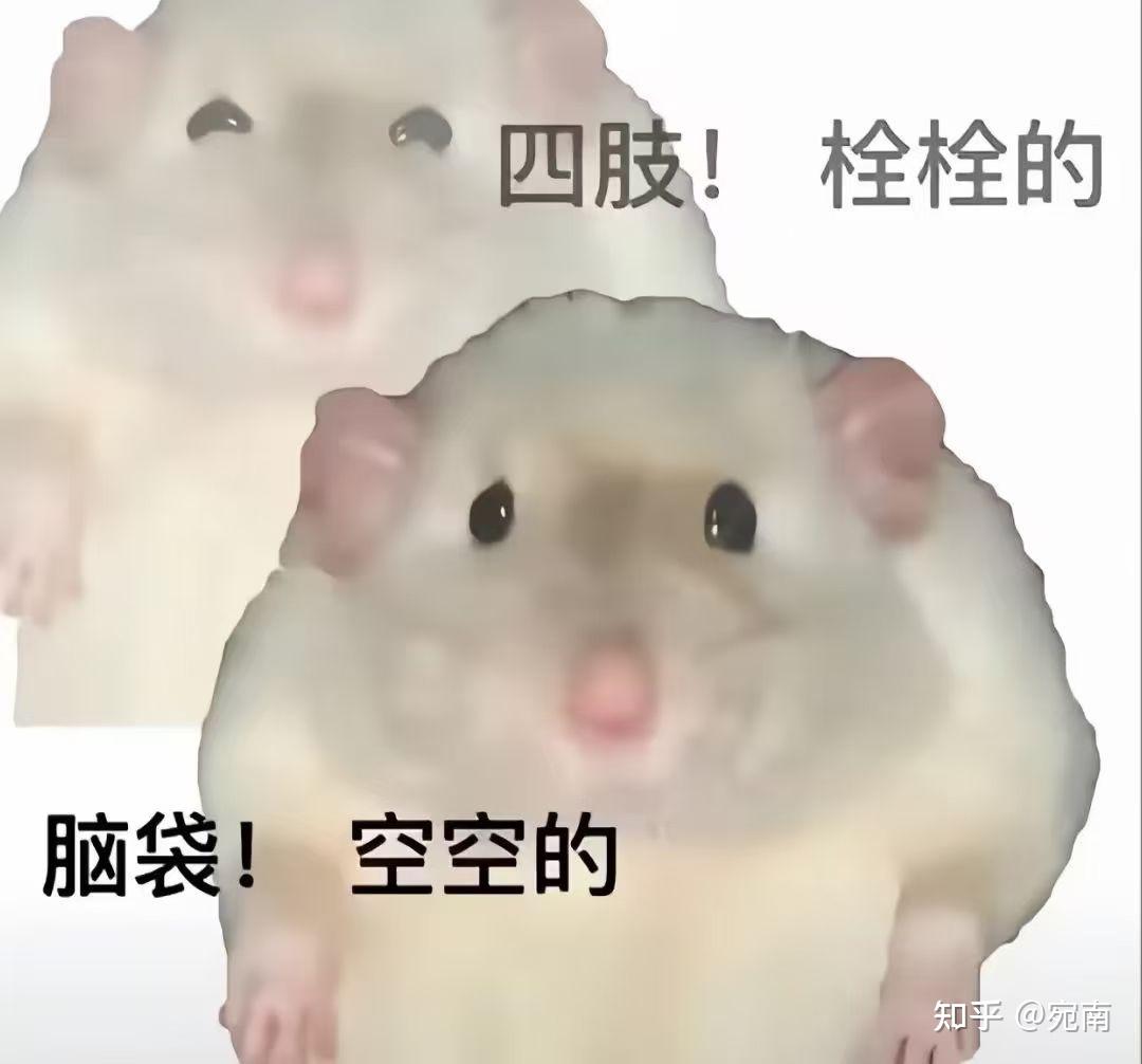 Labubu是什么动物的化身 百度知道