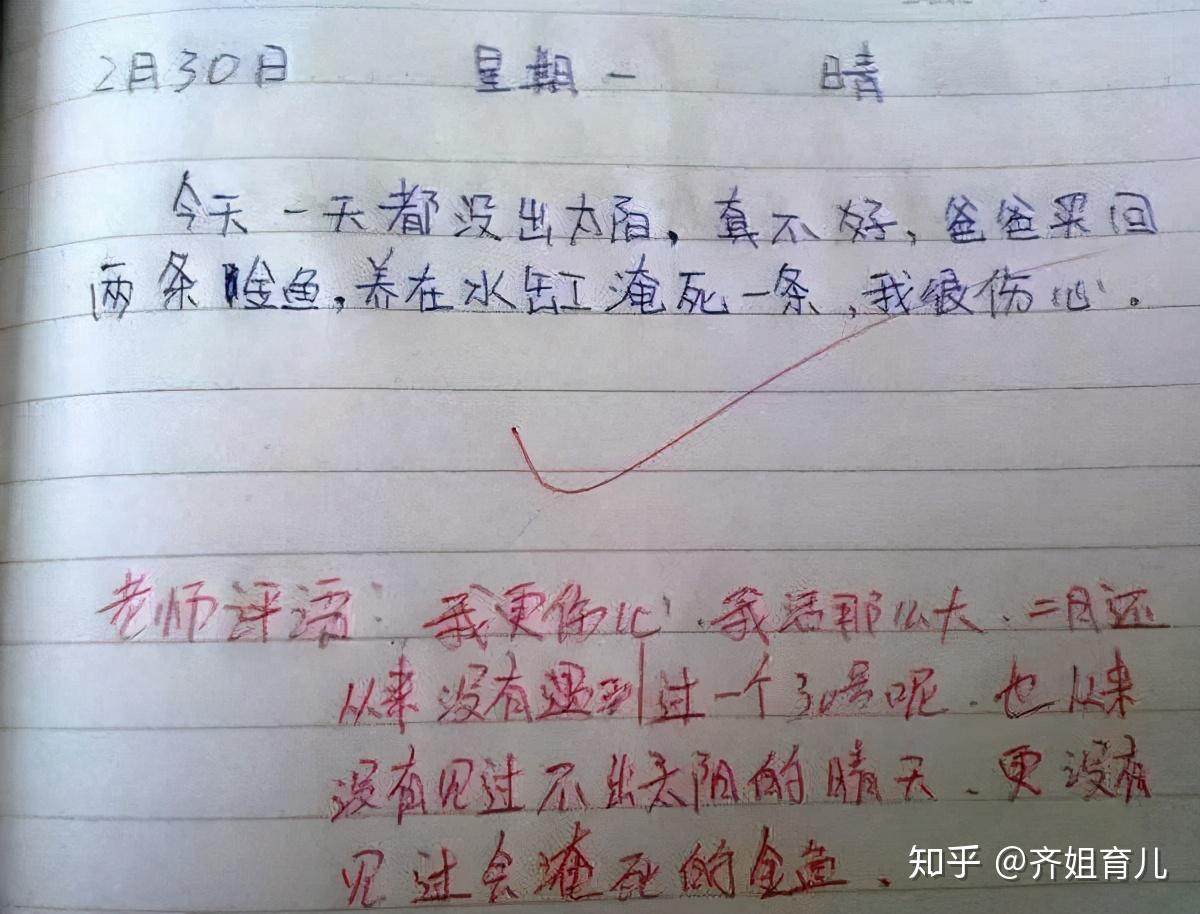 老师晒学生作文金鱼被水淹死妈妈太臭美网友最强王者