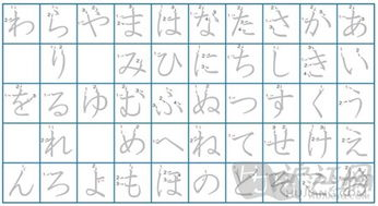 日语五十音图为什么有两个版本 你知道都怎么读吗 知乎