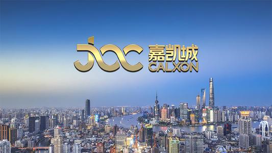 开年6个涨停板恒大系公司嘉凯城发生了什么