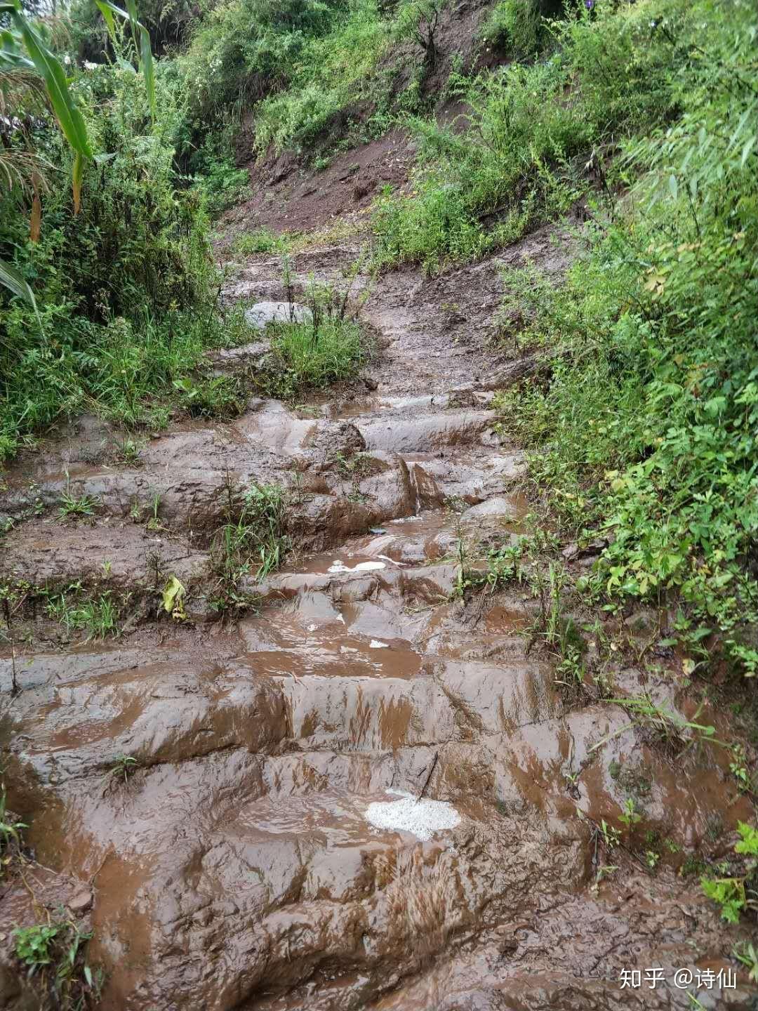 雲南省曲靖市宣威市倘塘鎮貝谷村委會倮麼村這條達道路十分嚴重性希望