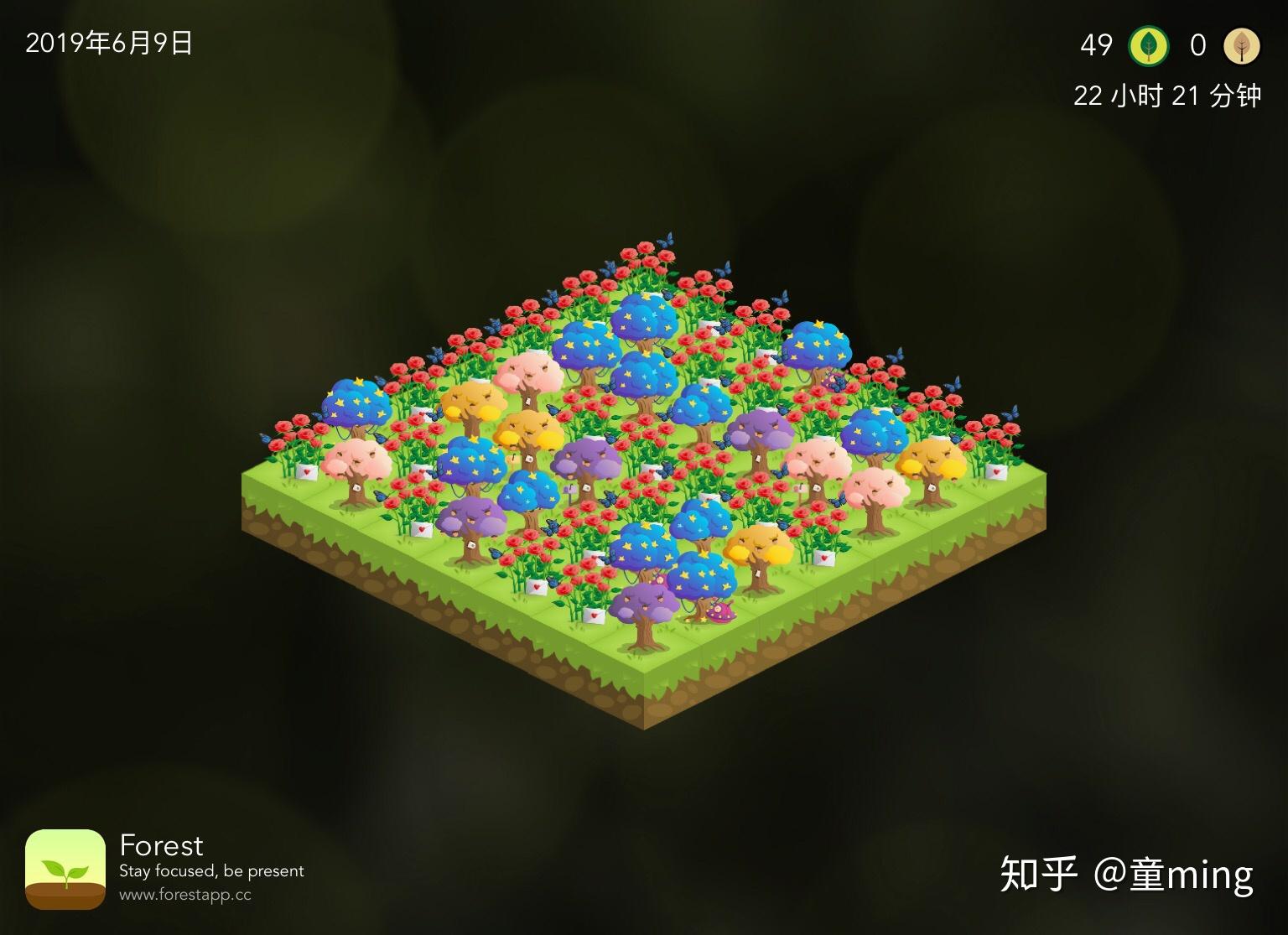 用forest种树怎样搭配最好看? - 知乎