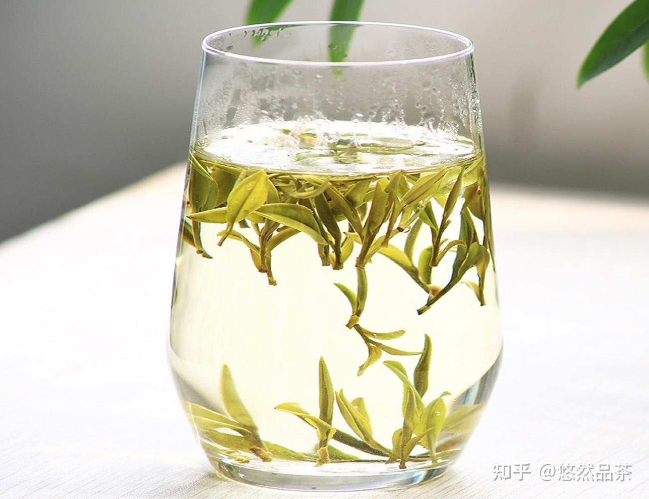 细说黄茶的“闷黄”工艺,由绿变黄,茶叶经历了怎样的历练过程 - 知乎