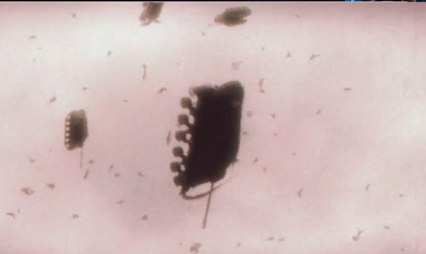 有哪些猎奇电影或动漫?最好是揭示道理的,或者