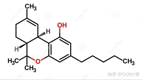 加拿大大麻合法化 要多多注意几件事 知乎