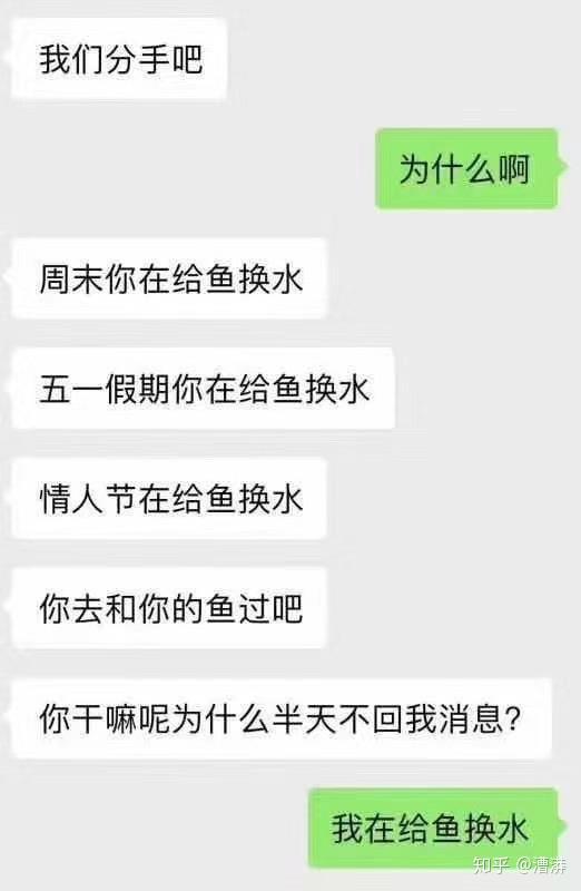 爆笑新梗丨第一期 知乎