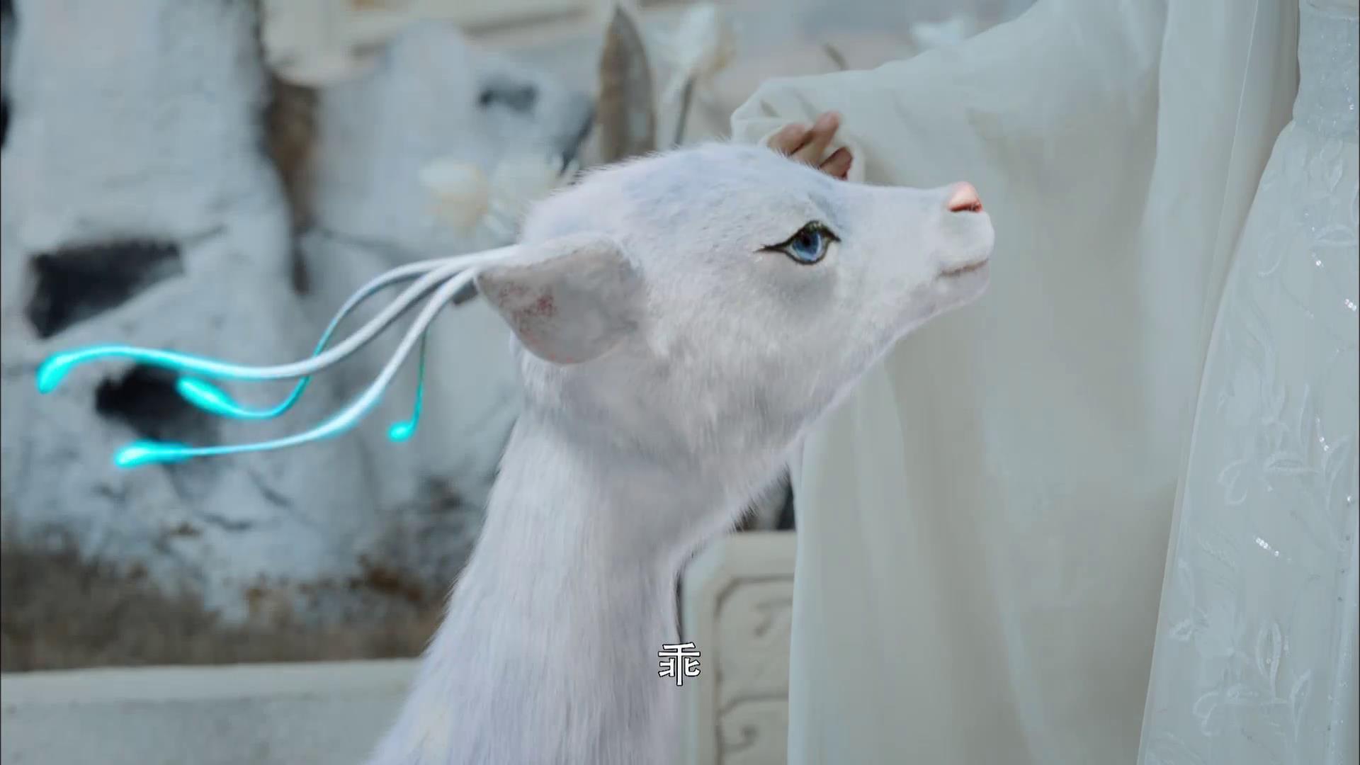 魇兽"不屑"拒绝,跳到润玉身旁.