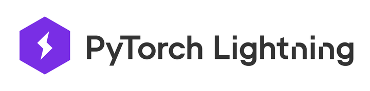 Pytorch lightning 