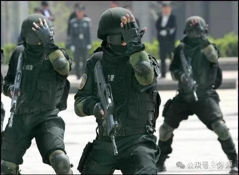 《武装特警》,一部讲述猎鹰突击队前身的反恐故事,精彩却又是那么的