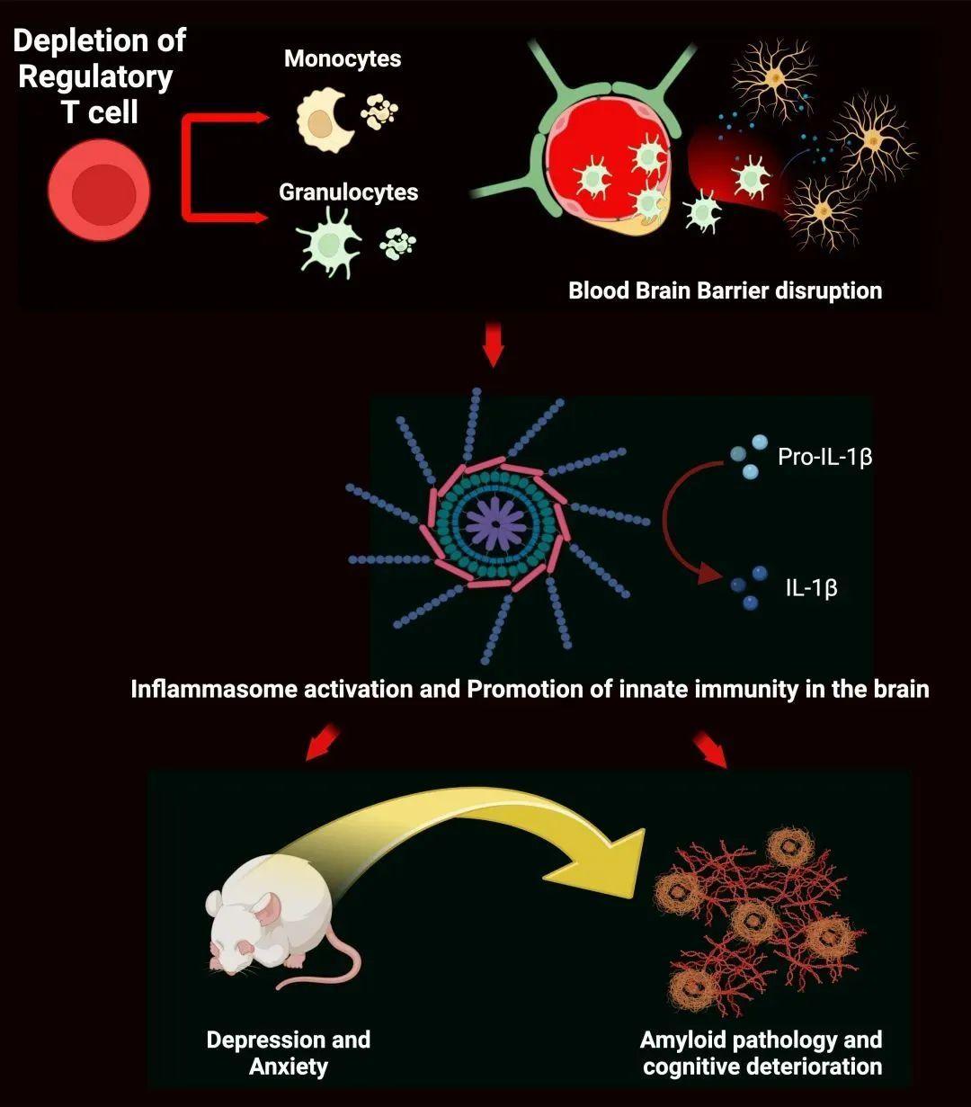 8 31 Nat Neurosci 8-31-nat-neurosci