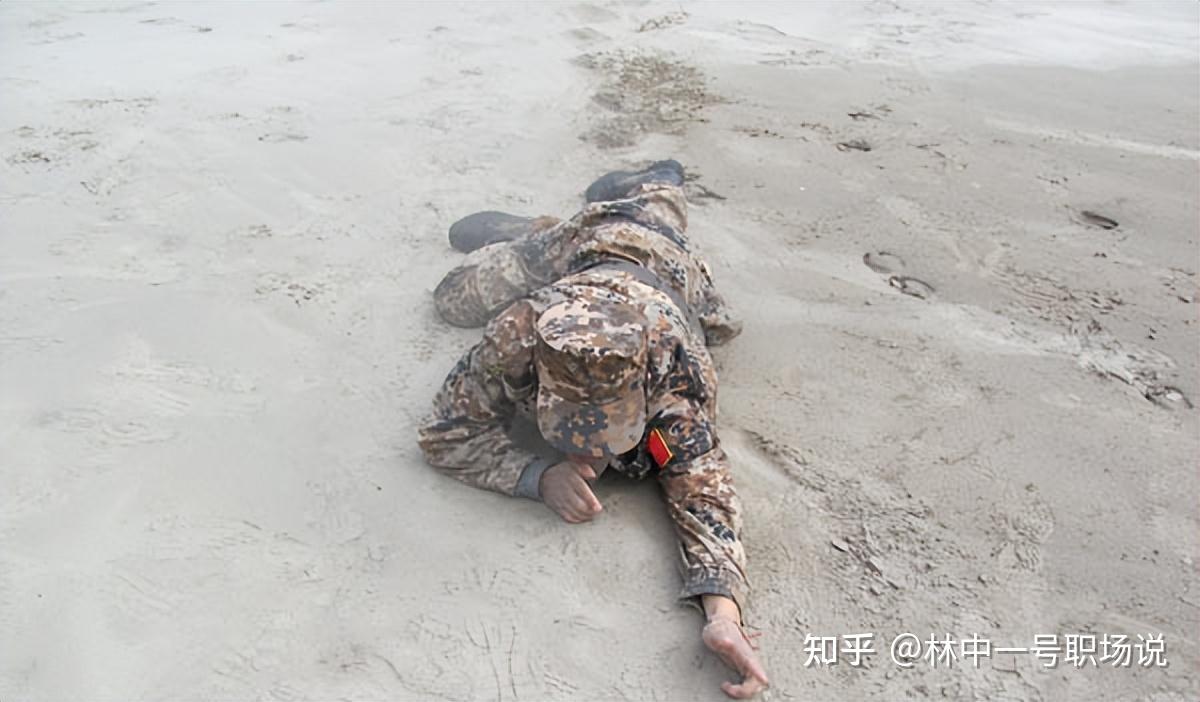 2023年，不求快，但求稳，匍匐前进是最佳的破局策略 - 知乎