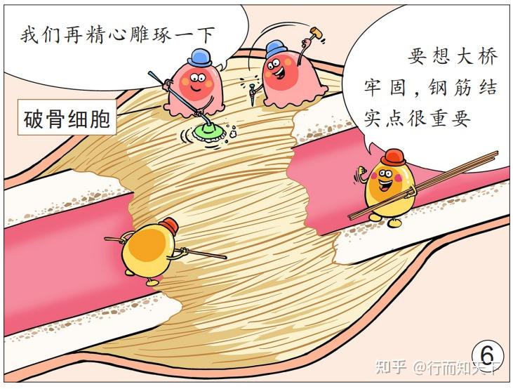 “伤筋动骨”真的100天才能恢复吗? - 知乎