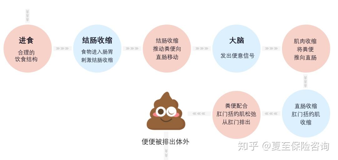 到底怎么样才算便秘？ - 知乎