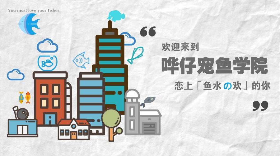为什么我的鱼缸里总是有泡泡 三大原因 一个套路 全部搞定 知乎 为什么我的鱼缸里总是有泡泡 三大原因 一个套路 全部搞定 知乎