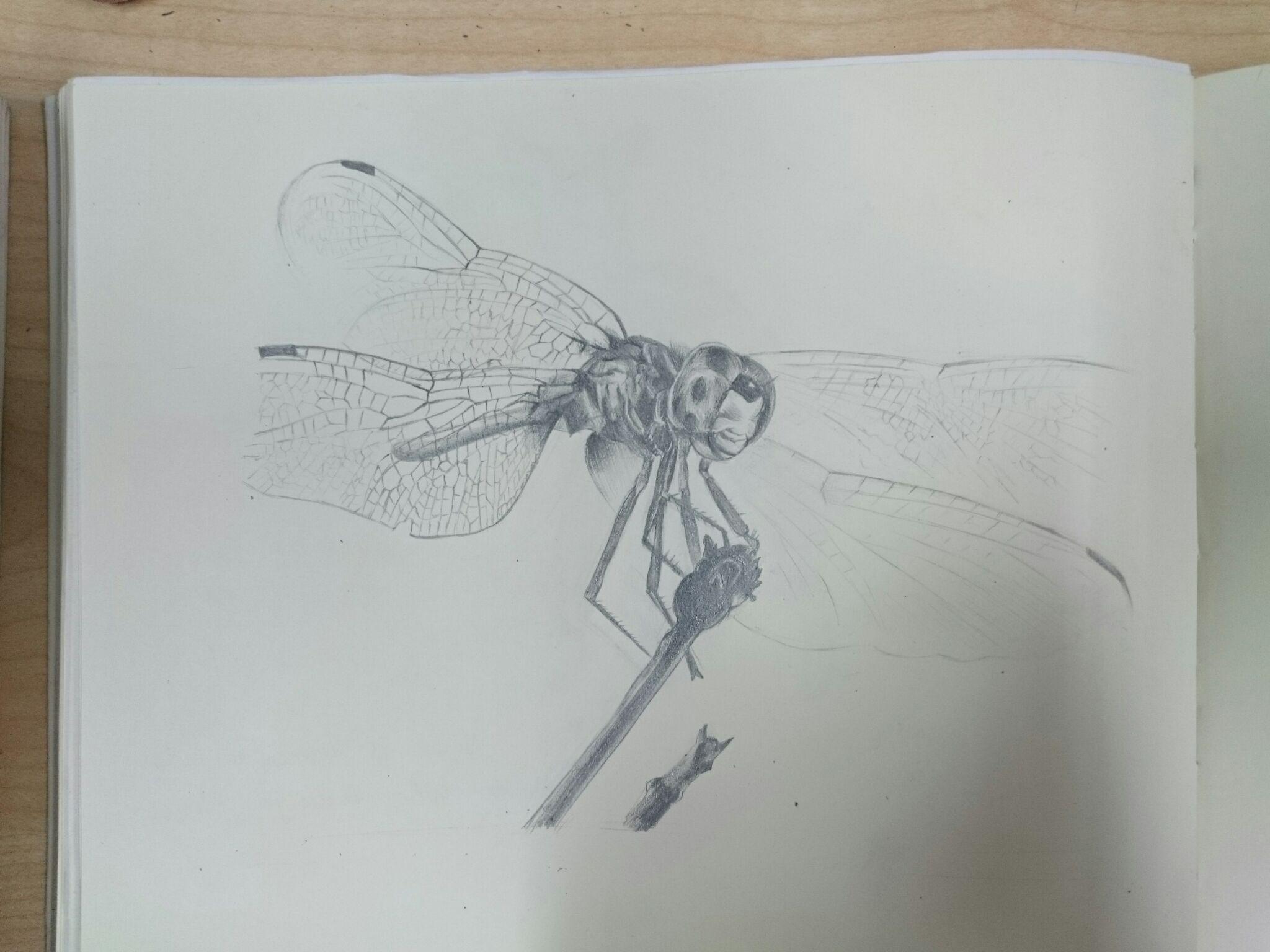 零绘画基础跨专业考研工业设计,如何弥补在绘