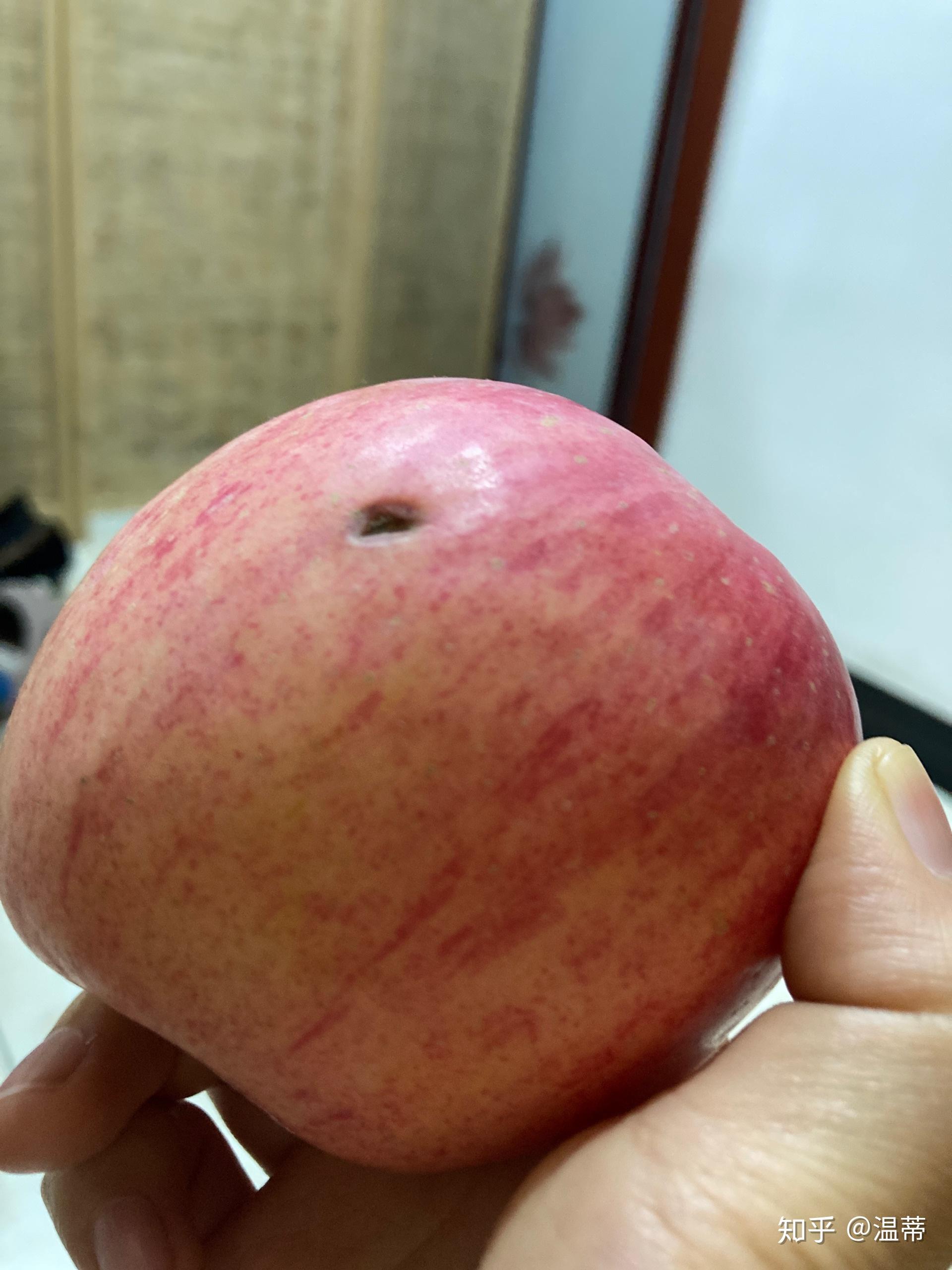 苹果上这个洞是被老鼠啃出来的吗