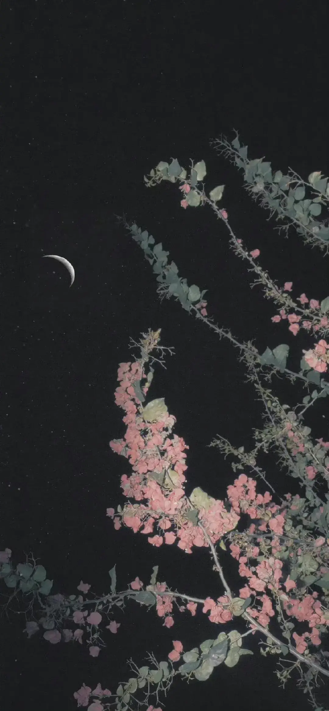 求黑色系壁纸全面屏谢谢