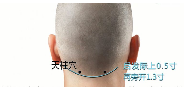 57个实用穴位,人人都能用得到,超通俗介绍,一看就懂 - 知乎