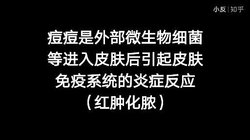 青春痘产生的原因是什么_长青春痘主要原因_长青春痘的原因