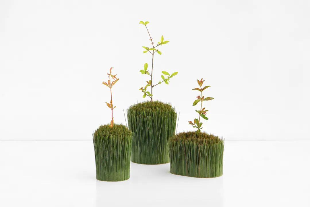 智加设计丨8款——仿生产品设计