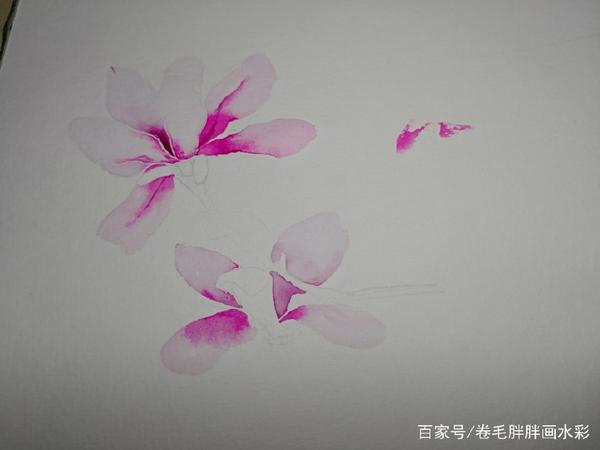 水彩花卉的私家技巧分享 水彩绘花卉篇 玉兰花 知乎