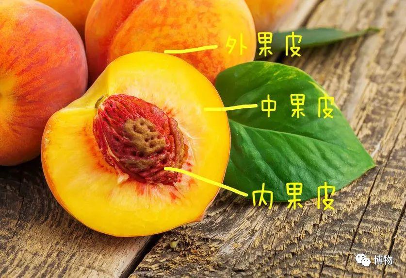 有钱真好肉都能给你做成荔枝皮