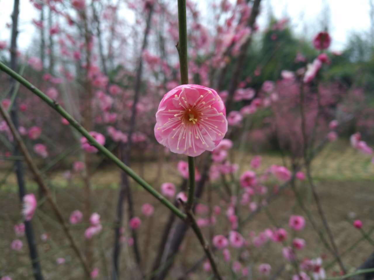 好想做个女孩子 - 收藏夹 - 知乎