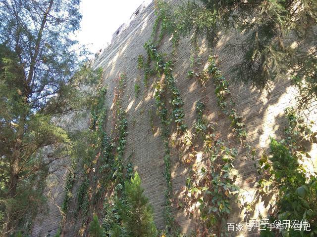 古都安陽三角湖一座被遺忘在角落的公園