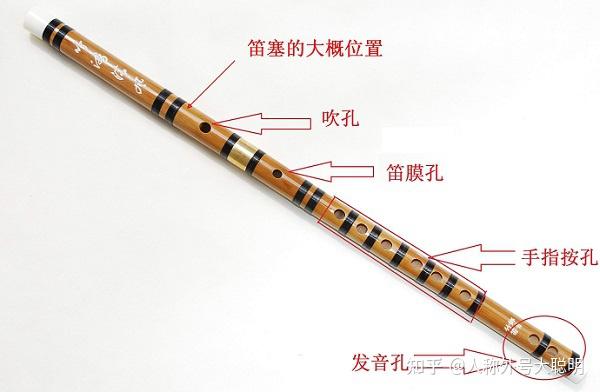 笛子指法初学者一定要会的两种笛子指法图解 知乎 笛子指法初学者一定要会的两种笛子指法图解 知乎
