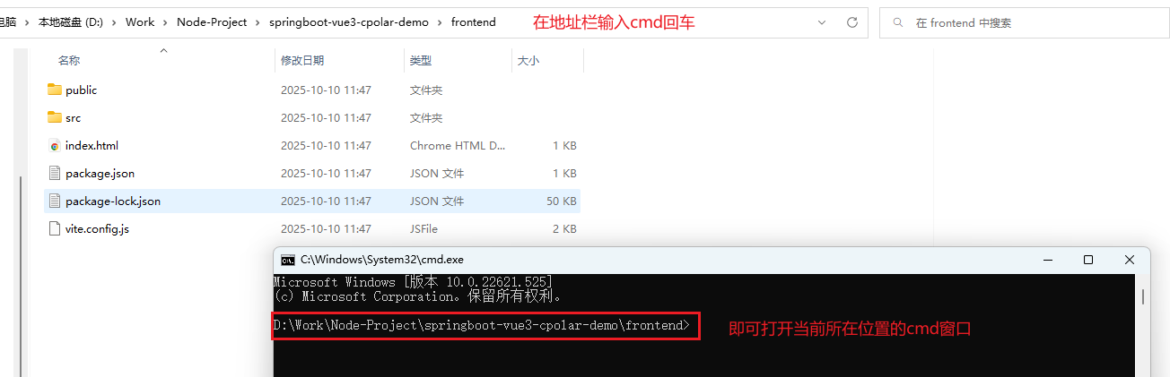 Spring Boot 2 + Vue 3 全栈项目内网穿透实战：HTTPS 公网访问方案 - 知乎