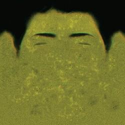 【GPU精粹与Shader编程】(二) 《GPU Gems 1》全书核心内容提炼总结 · 上篇