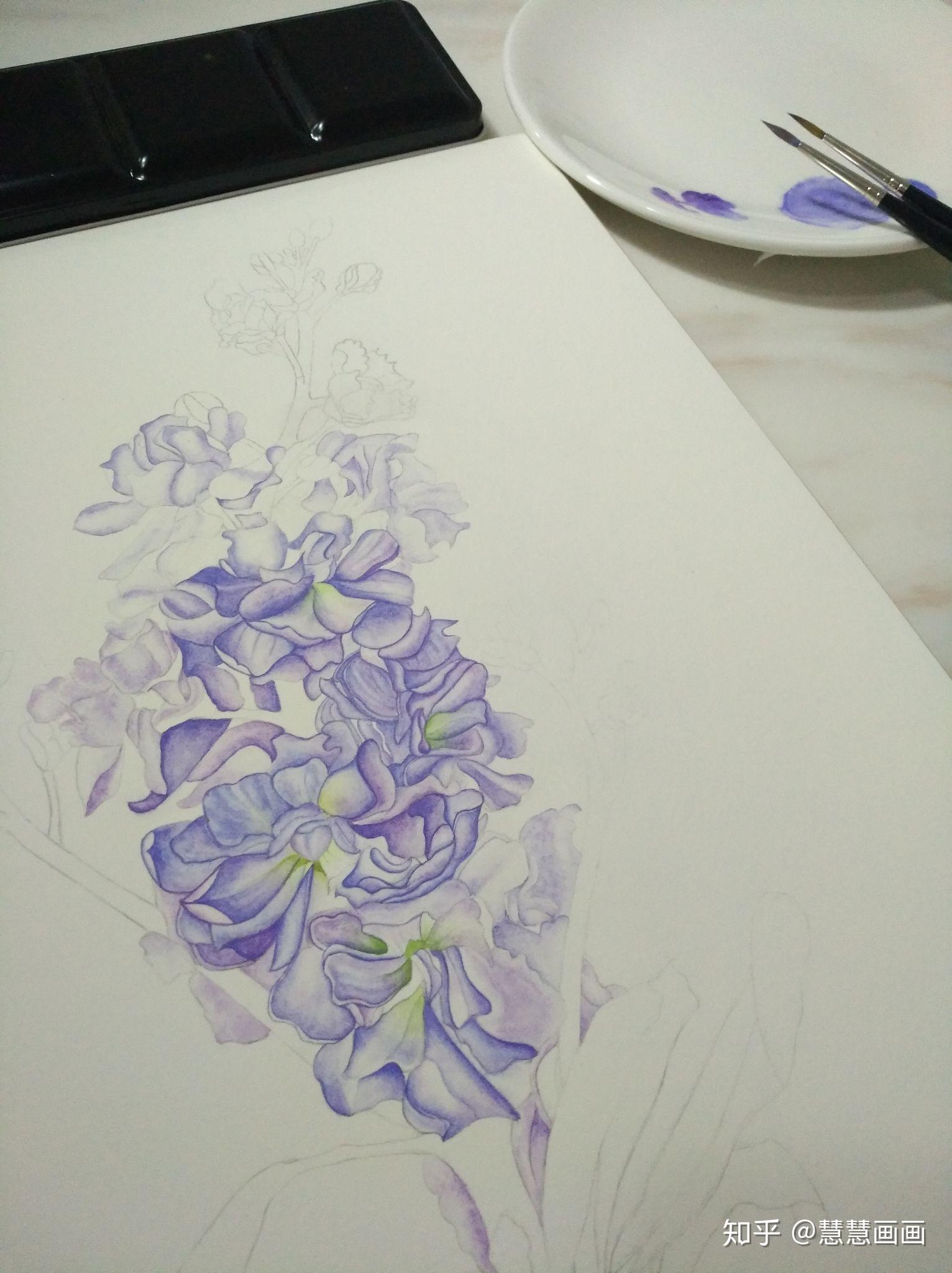 零基础水彩紫罗兰:第二幅完工的水彩画 - 知乎