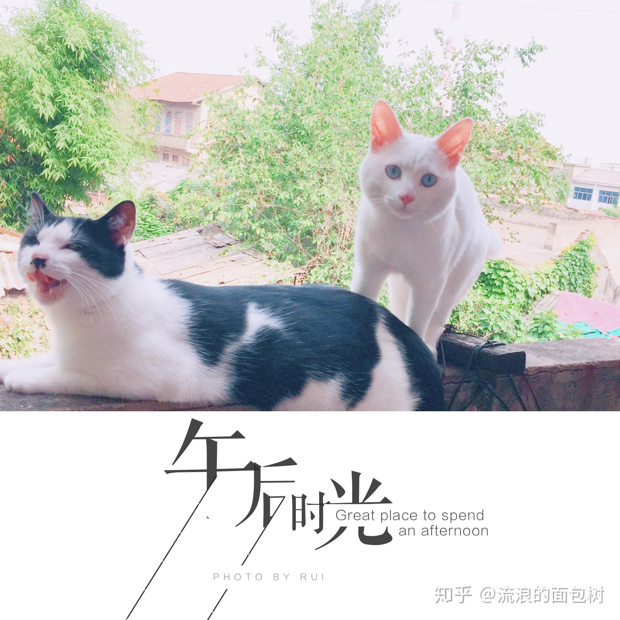 v2-4ff78b5dc9593492402350076296d7ed_r.jpg