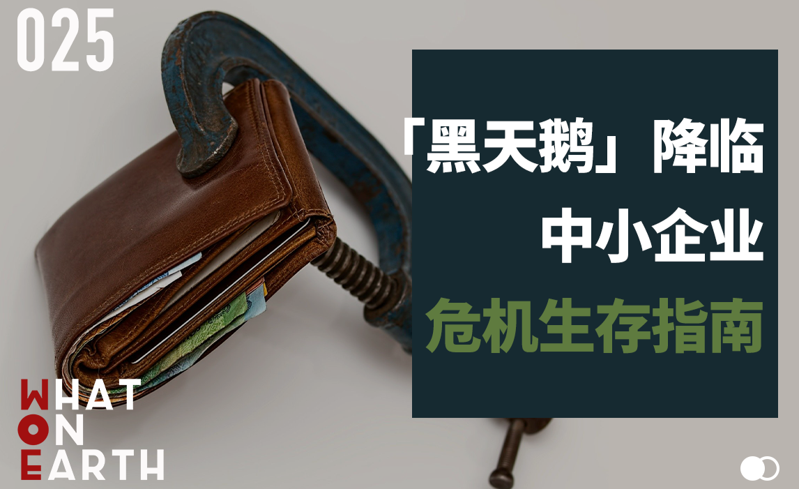 67关注蛇王,超级大蛇来袭,蛇王后人如何带领大家度过危机 木生,静兰