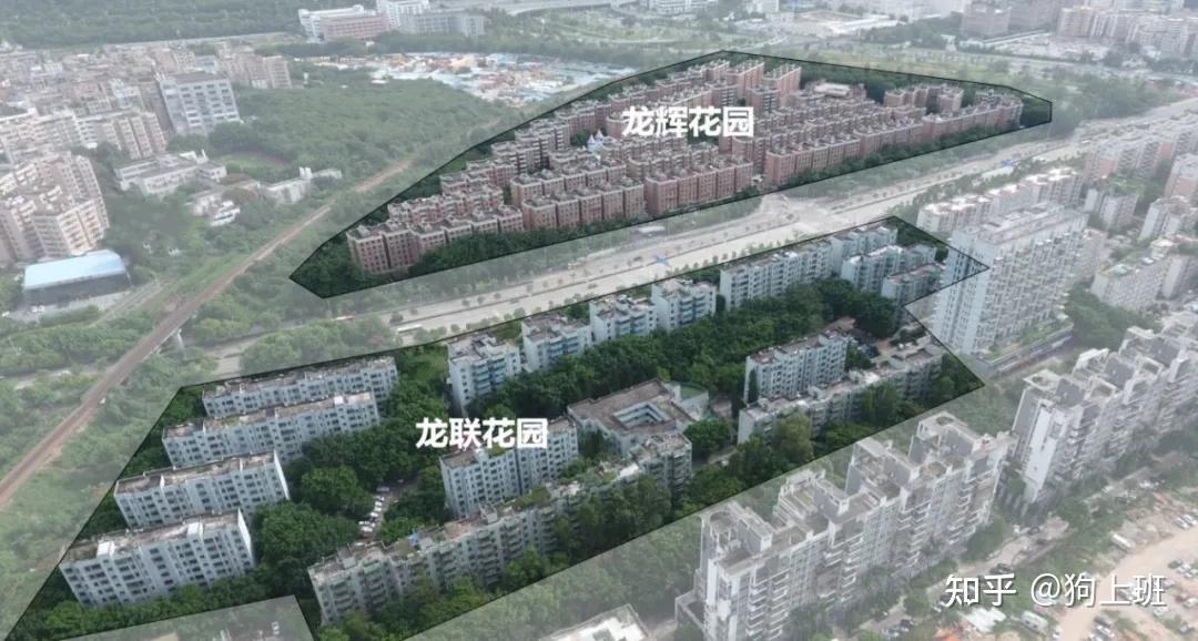 洞察行业动态：聚焦龙联中国股份有限公司的发展路径