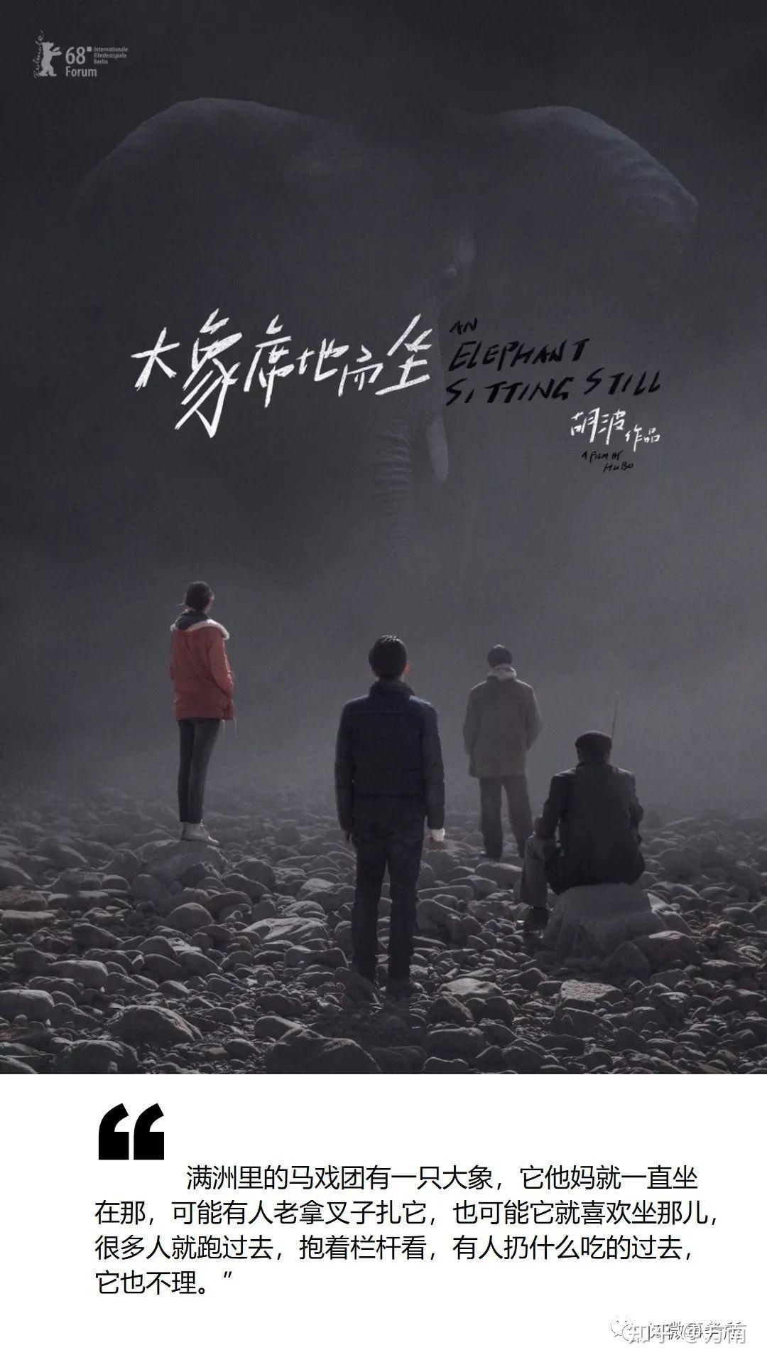 活着那只大象席地而坐