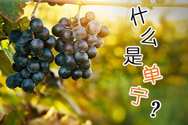 什么是单宁(Tannin) - 知乎