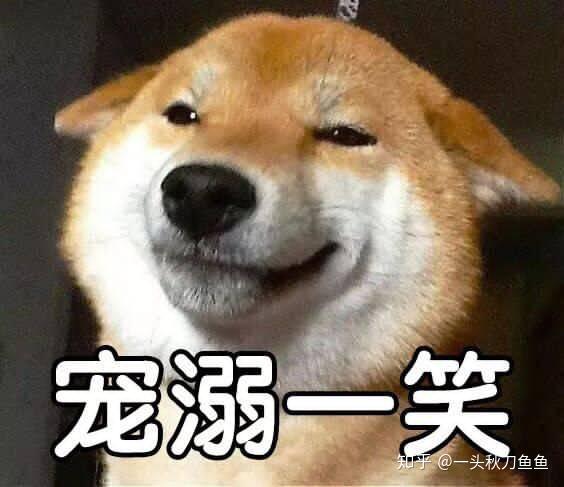 v2-5040c6b1305a1255accca2cc4c900755_r.jpg
