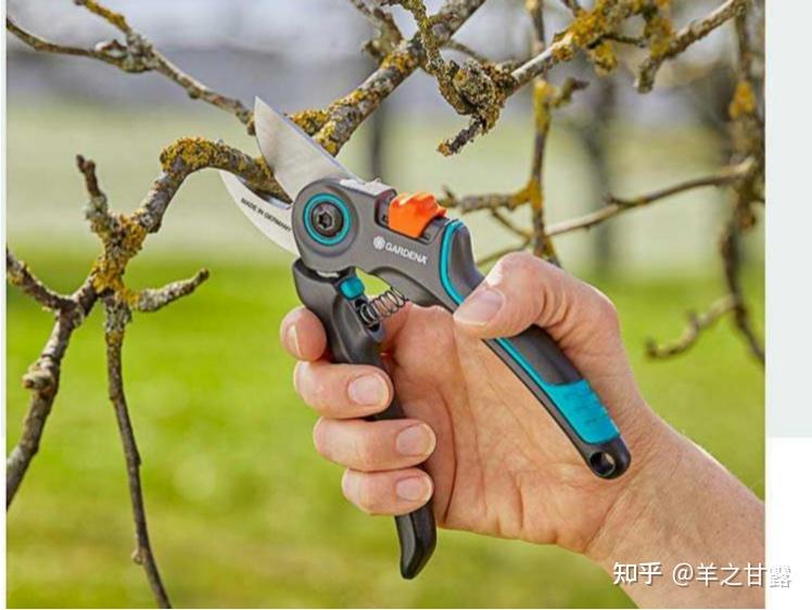 修枝剪有什么品牌和型号值得推荐的？