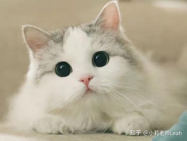 Broaden My Horizon Broaden Horizon加s吗 Horizon做视野加s么