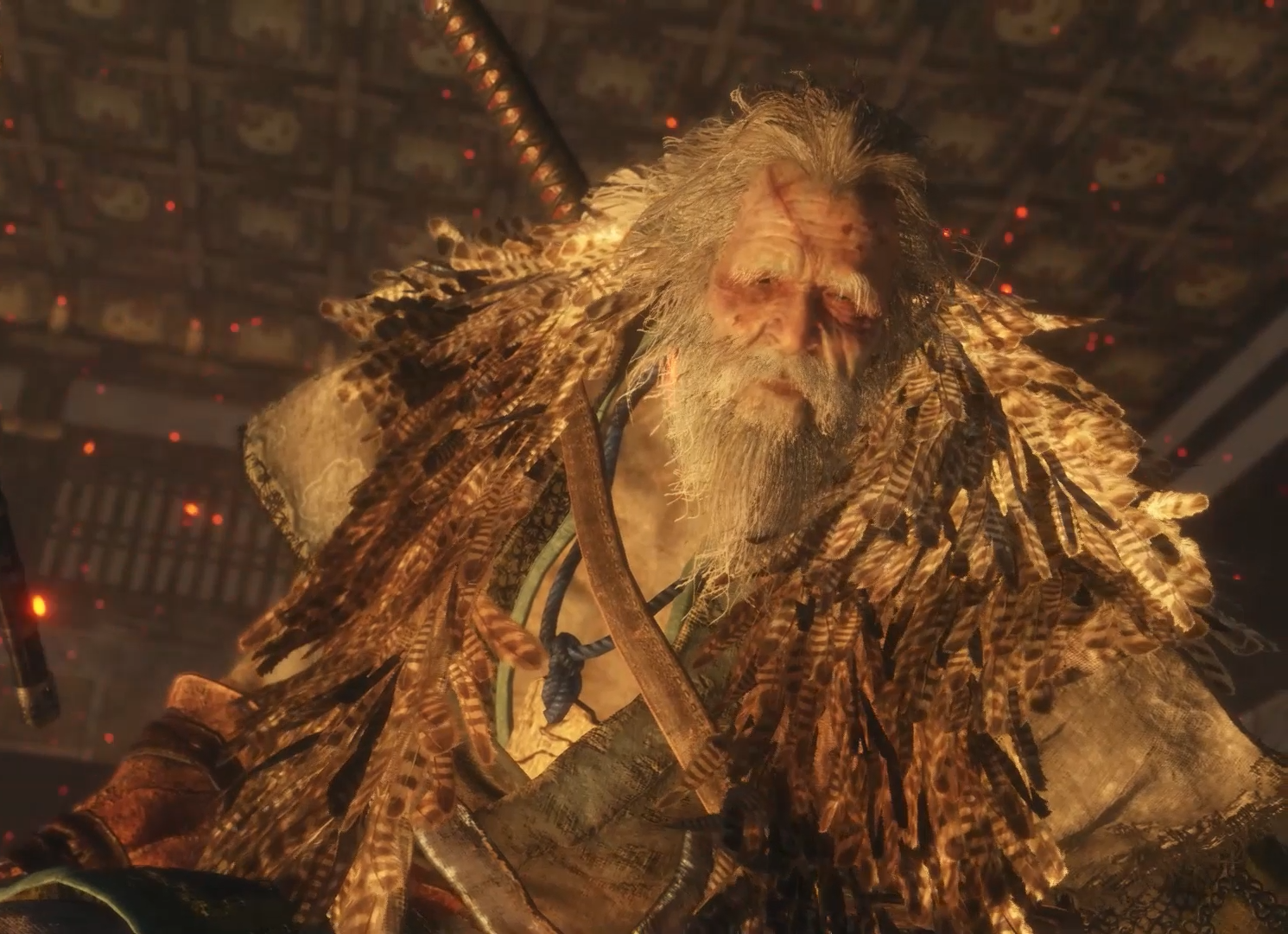 直播回放那只狼上线啦