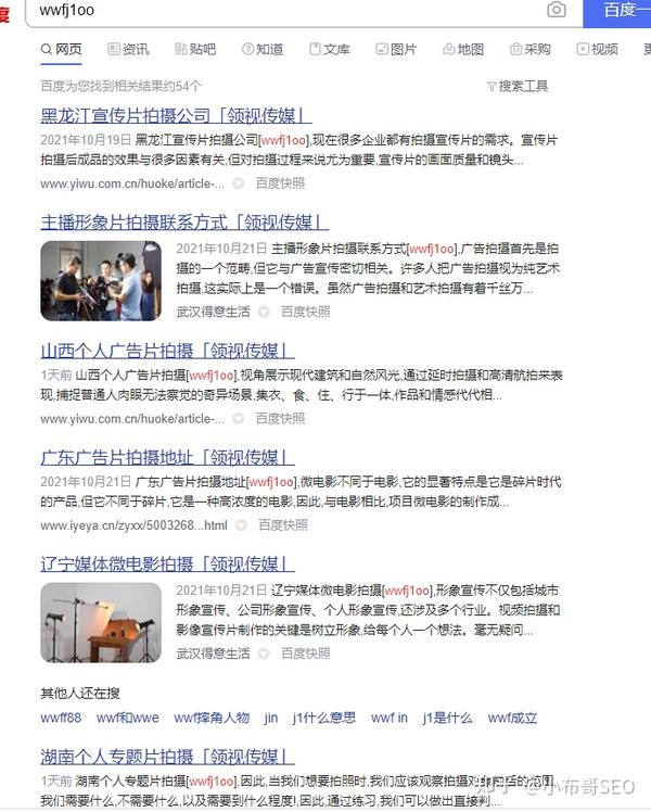 李彦军seo大神(重庆seo小潘大神)